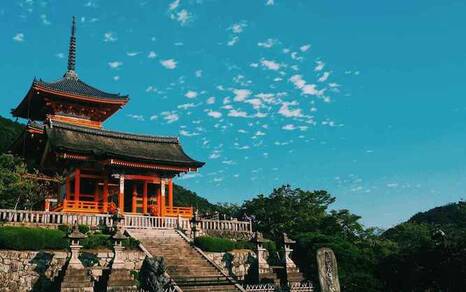 探访天津热带植物园，畅游热带风情！